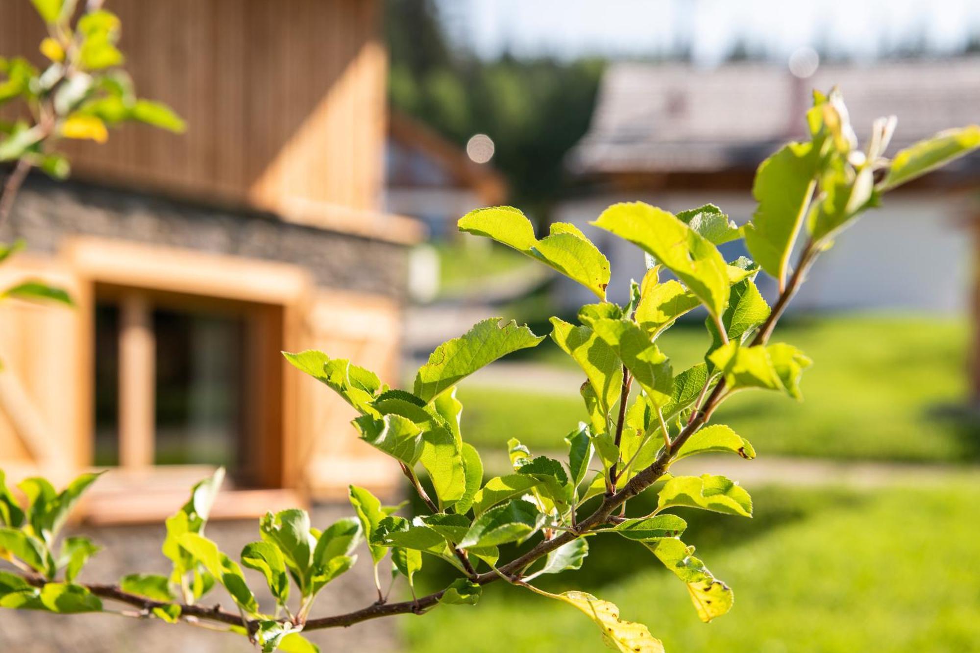 Lerchpeuntgut Alpenfreud Apartments Tamsweg Exterior foto